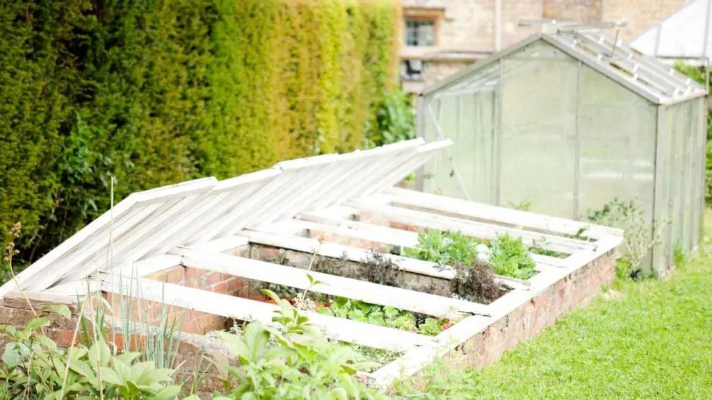 Cold Frame