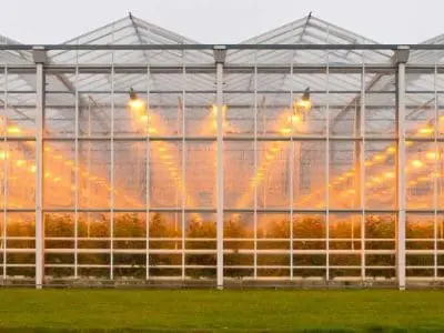 greenhouse