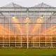 greenhouse
