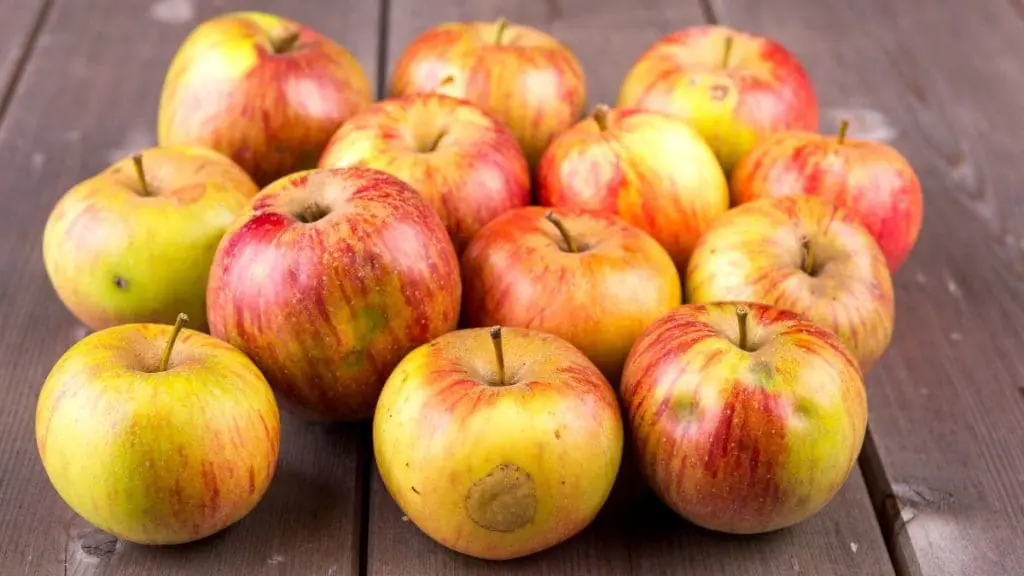 imperfect-apples