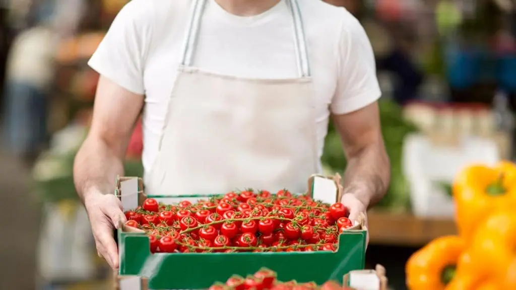 man-putting-tomatoes-on-display