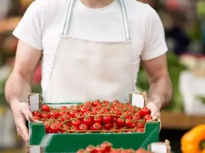 man-putting-tomatoes-on-display