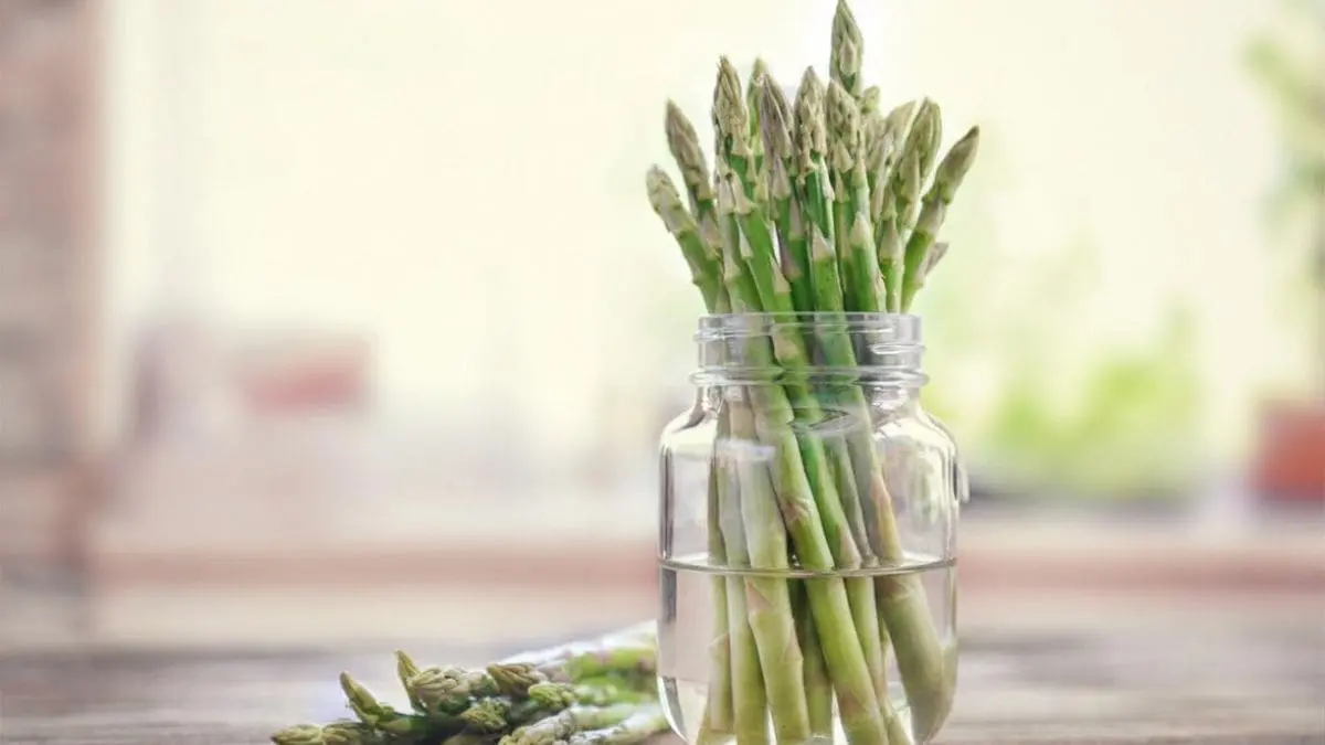 Asparagus in jar