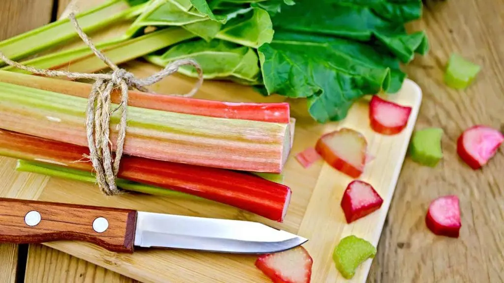 Field-Rhubarb