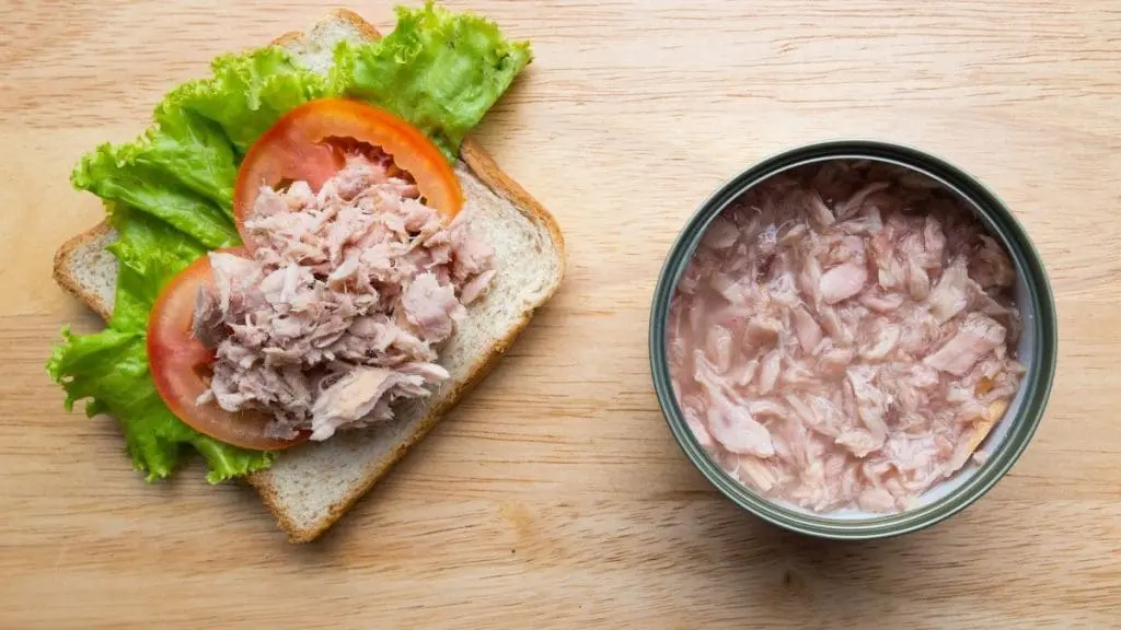 Canned Tuna Sandwich