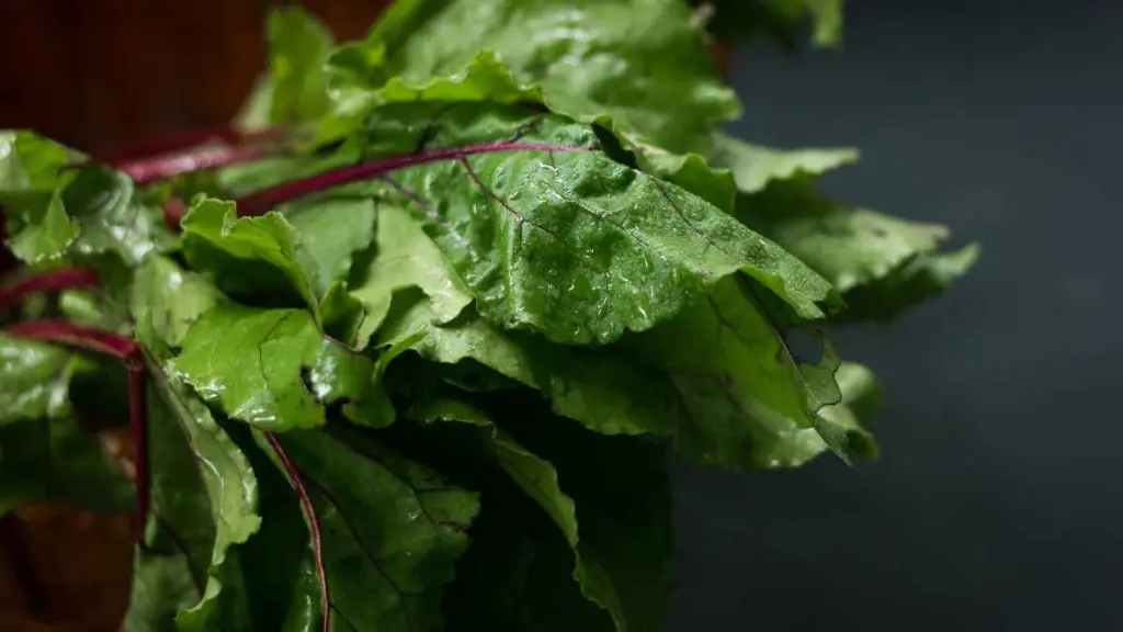 Beet Greens