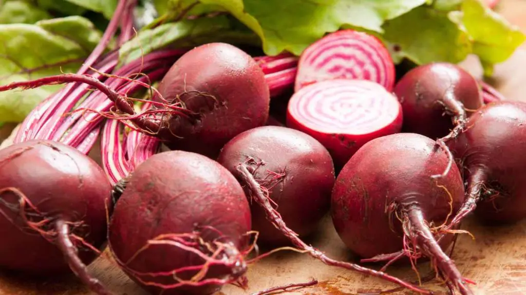 Chioggia Beets