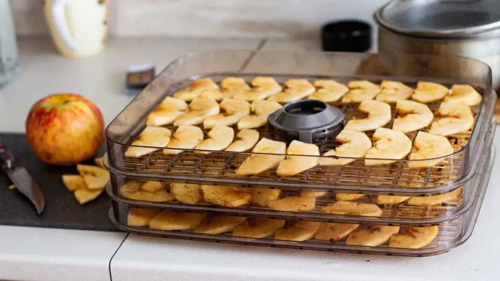 Dehydrating-apples