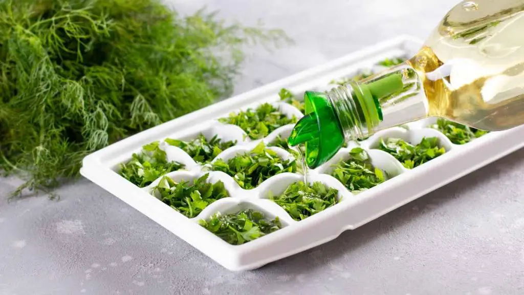 Freezing-Herbs