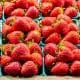 Seasonal Strawwberries