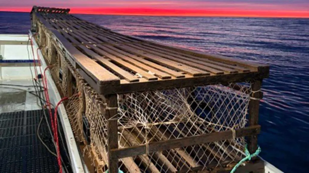 LobsterCages-JamieCraig