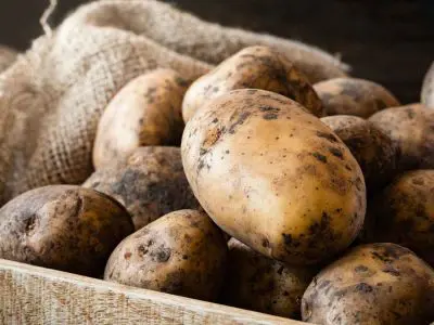 Storing Potatoes