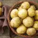 new potato