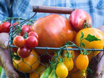 ways-to-enjoy-tomatoes