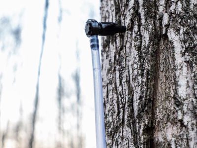 maple-syrup-tree-tap