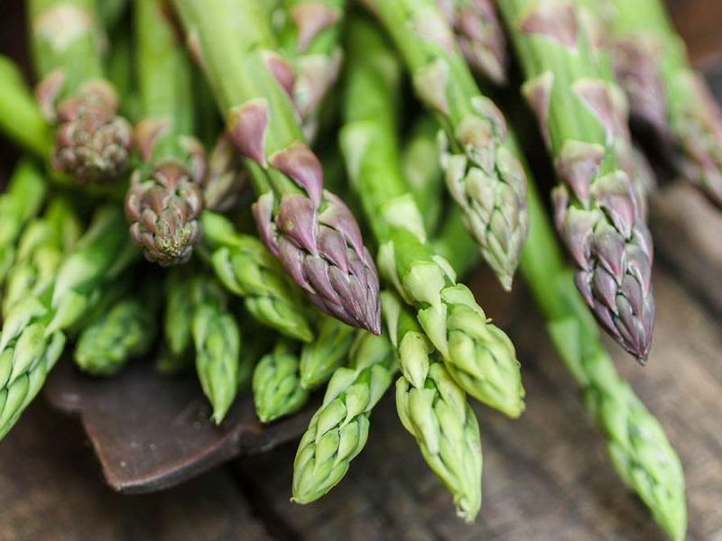 how asparagus grows