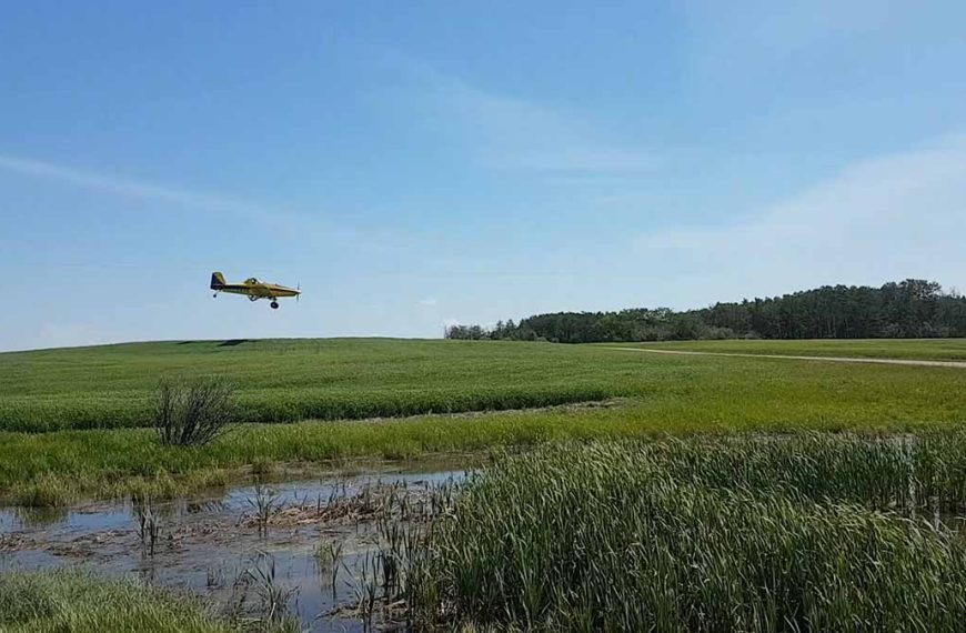 Why Do Farmers Apply Fungicide?
