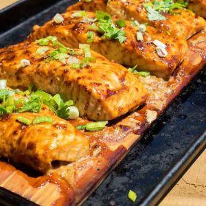 stout-ginger-salmon