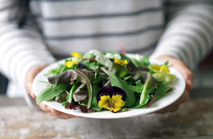 15 Flowers You can Eat