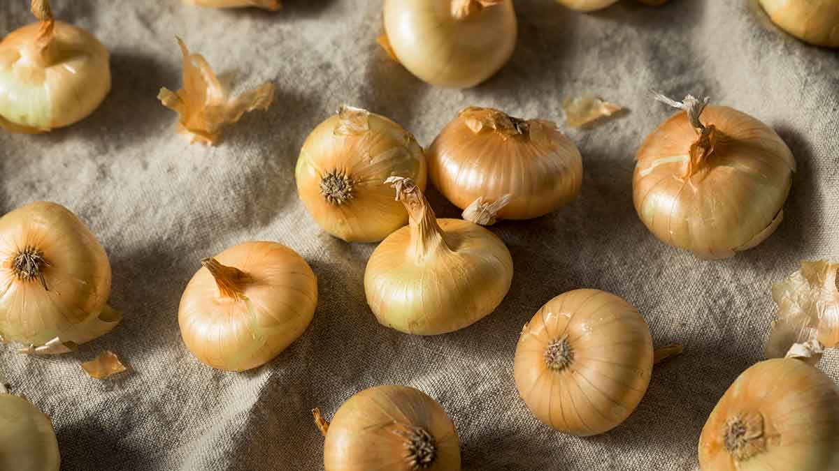 What's in Season? Dry Onions Canadian Food Focus