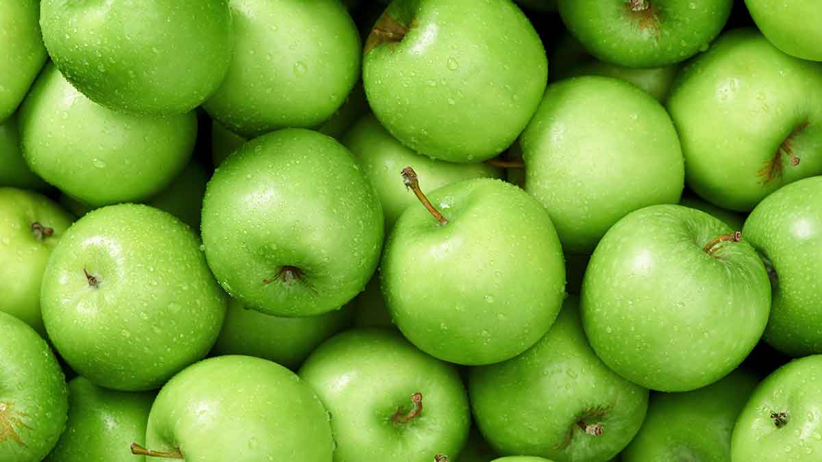 What's in Season? Apples Canadian Food Focus