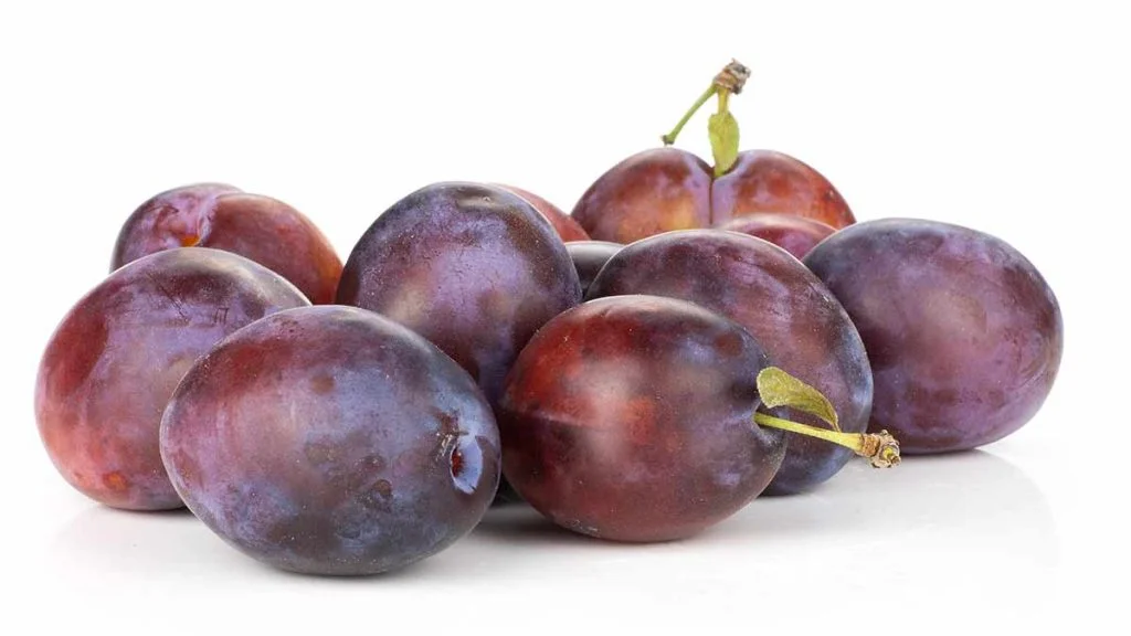 moyer plum