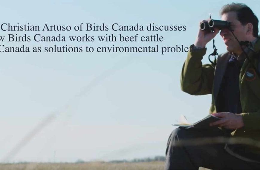 Birds and Beef: Environmental Partnership