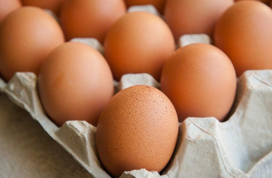 brown eggs