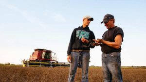 farmer and son growing lentils