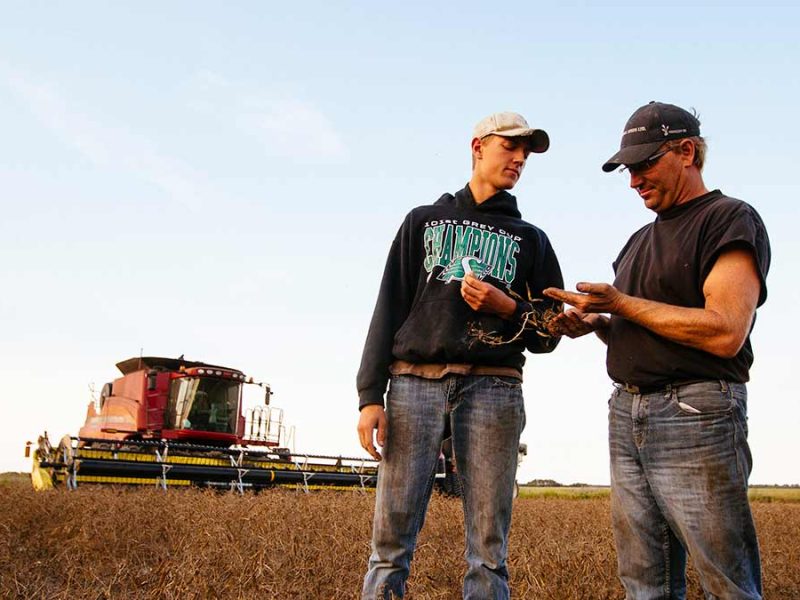 farmer and son growing lentils