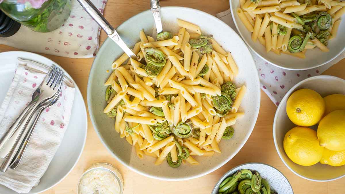 The History of Fiddleheads in Canada