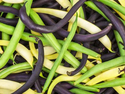 green yellow purple beans