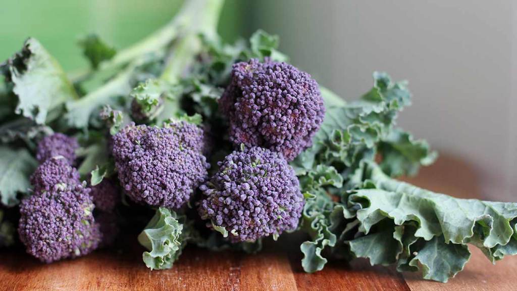 Purple-broccoli