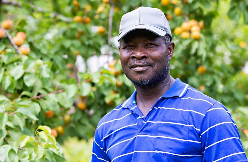 Program Ensures Migrant Farm Workers Have Same Rights, Privileges As Canadian Workers