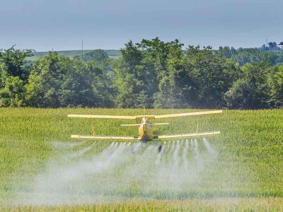 Pesticide-Applicator-Licence