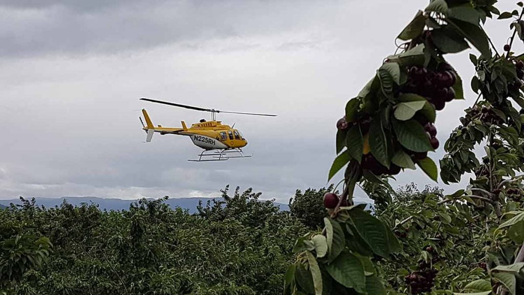 Helicopter-Drying-Cherries