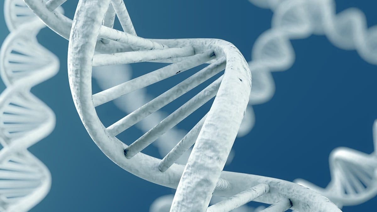 double helix dna