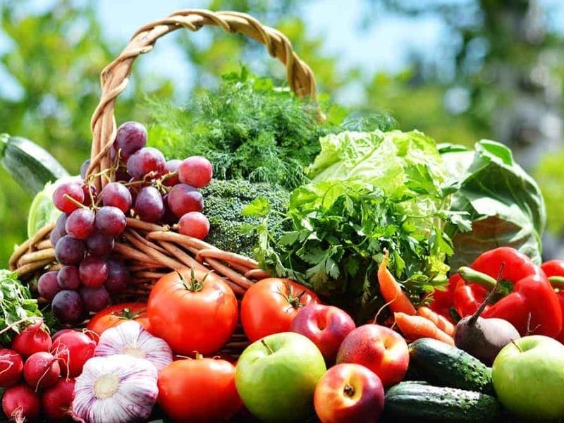 Home - Canadian Food Focus