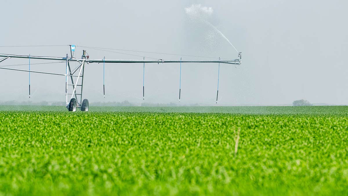 Innovation on the Farm - Canadian Food Focus