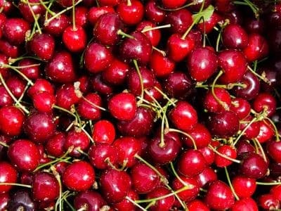 cherries with stems