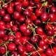 cherries with stems