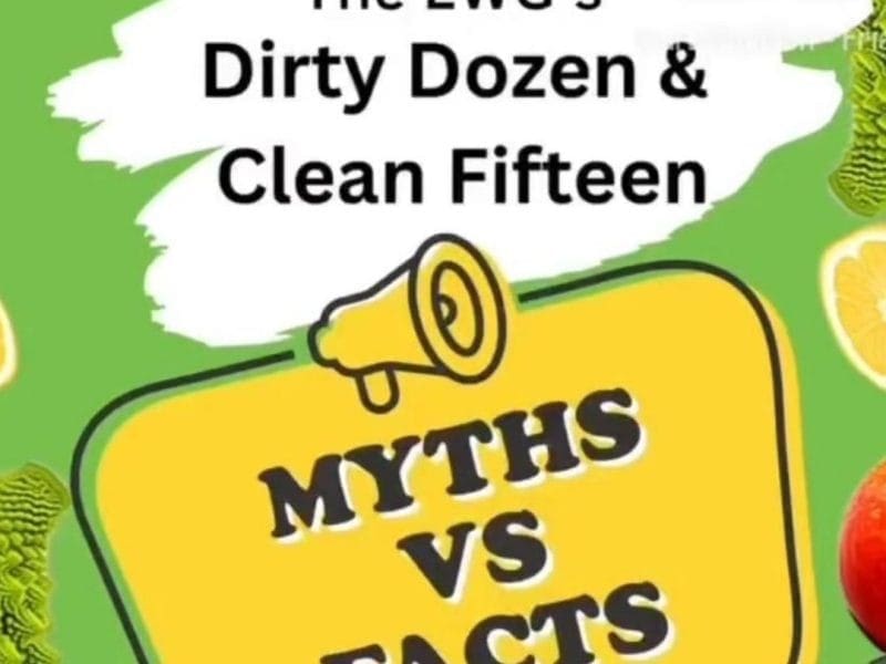 dirty dozen clean 15