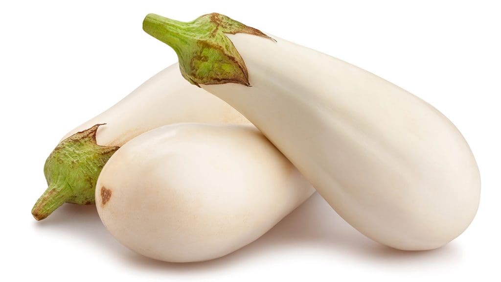 White-Eggplant