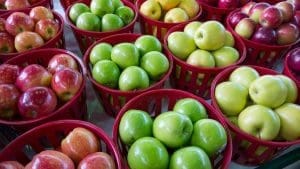 Apple-Varieties