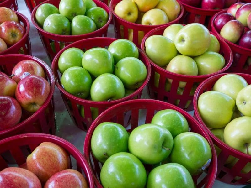 Apple-Varieties