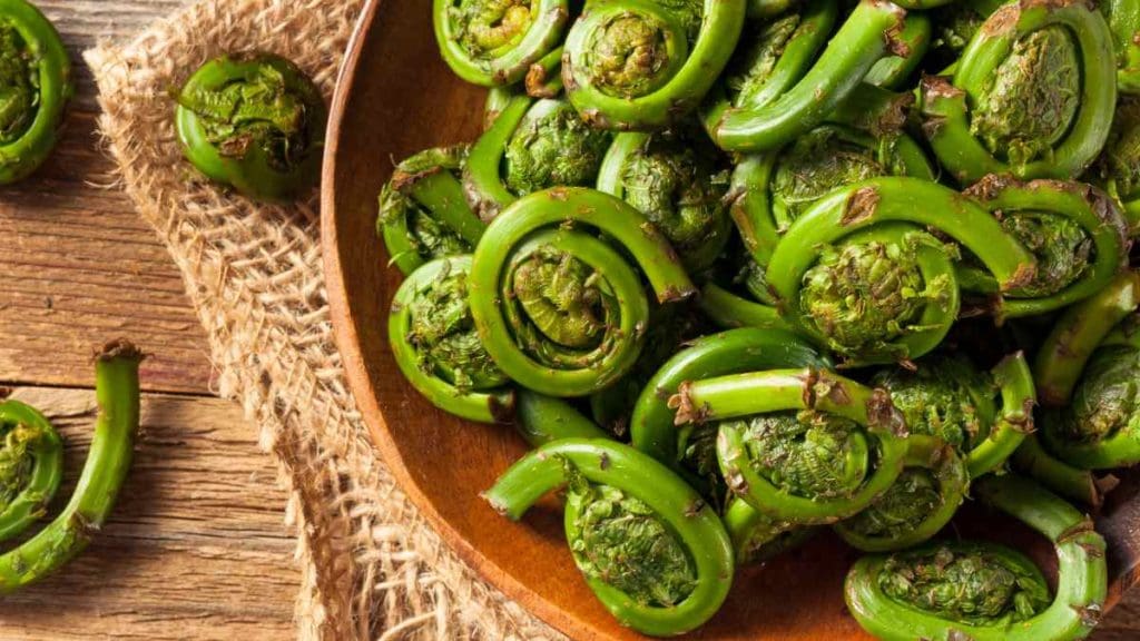 Buying-Fiddleheads-in-Season
