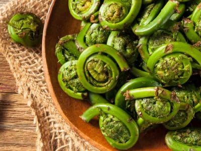 Buying-Fiddleheads-in-Season