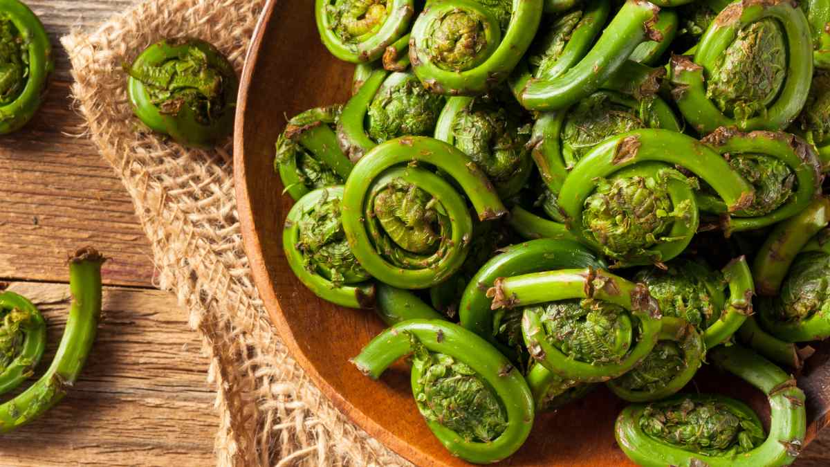 Buying-Fiddleheads-in-Season