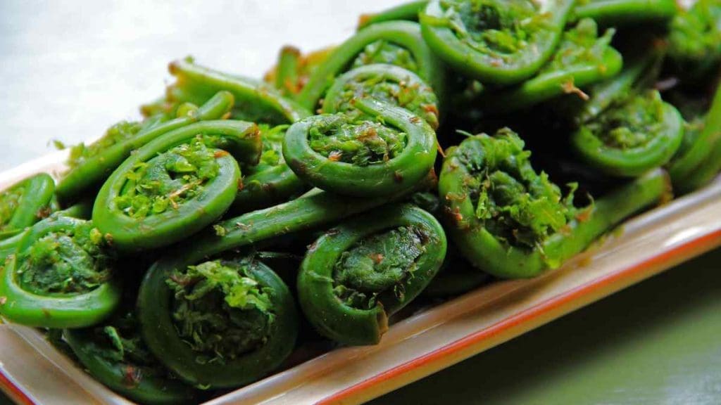 Cooked-Fiddleheads