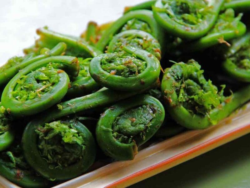 Cooked-Fiddleheads